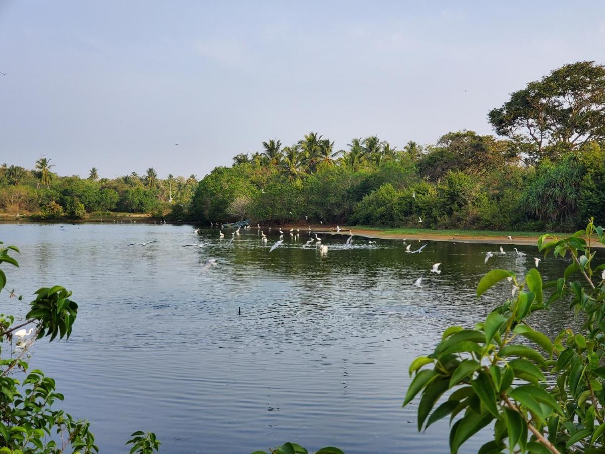 Vila Ceu Ceylon Tangalle Exteriér fotografie